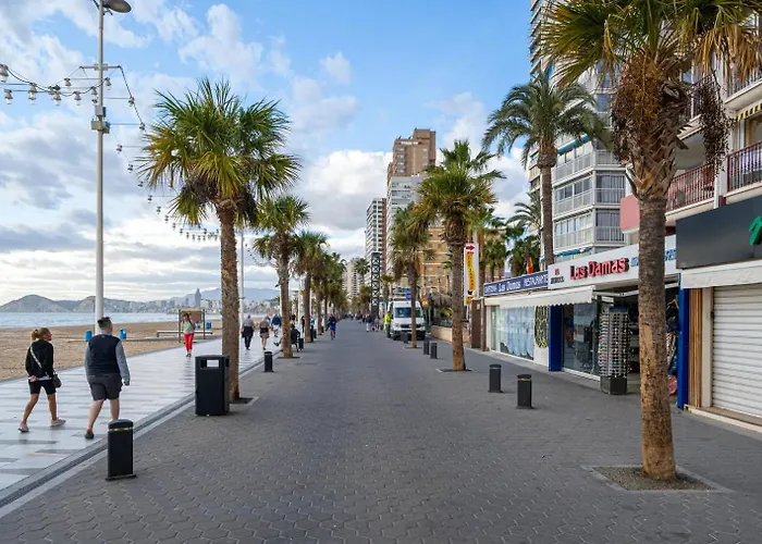 Damas 10c Benidorm